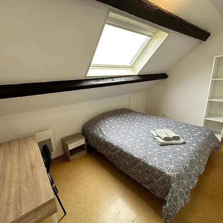 Duplex Cozy Hypercentre Apartment Diedenhofen
